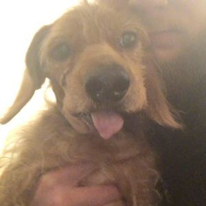 Meet your Posher, Dustin